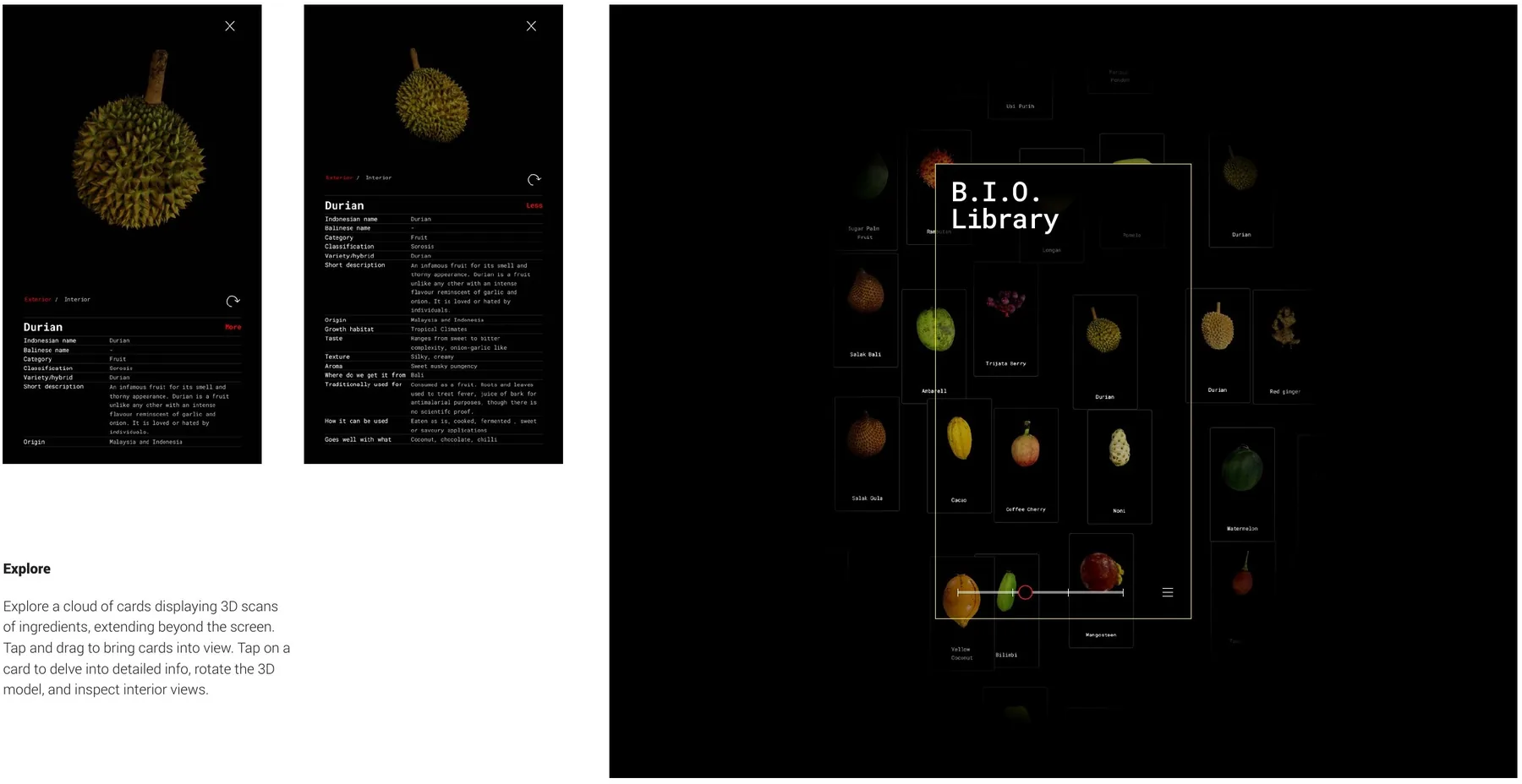 B.I.O. Library — explore interface