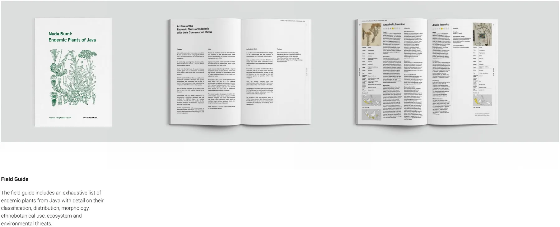 Field Guide spread